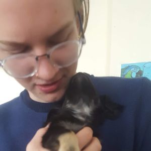 Meet your Posher, Annione